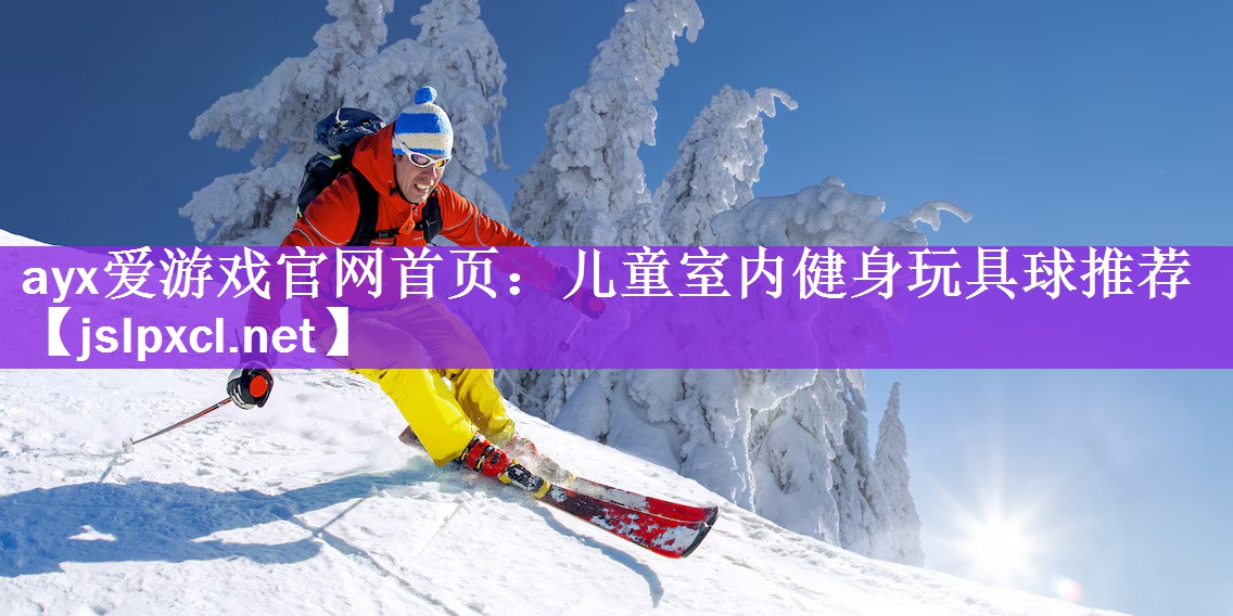 ayx爱游戏官网首页：儿童室内健身玩具球推荐