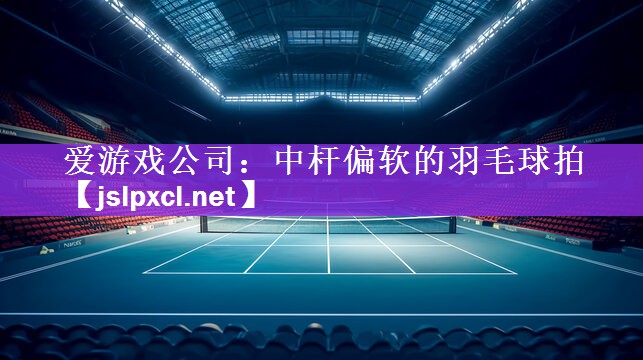 爱游戏公司：中杆偏软的羽毛球拍